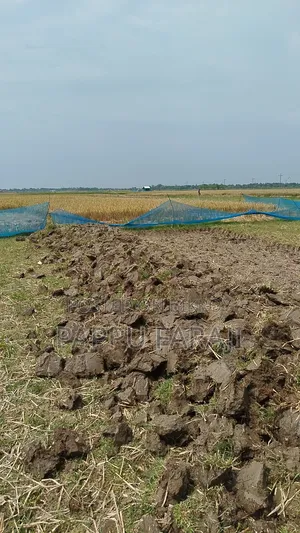জমি বিক্রি