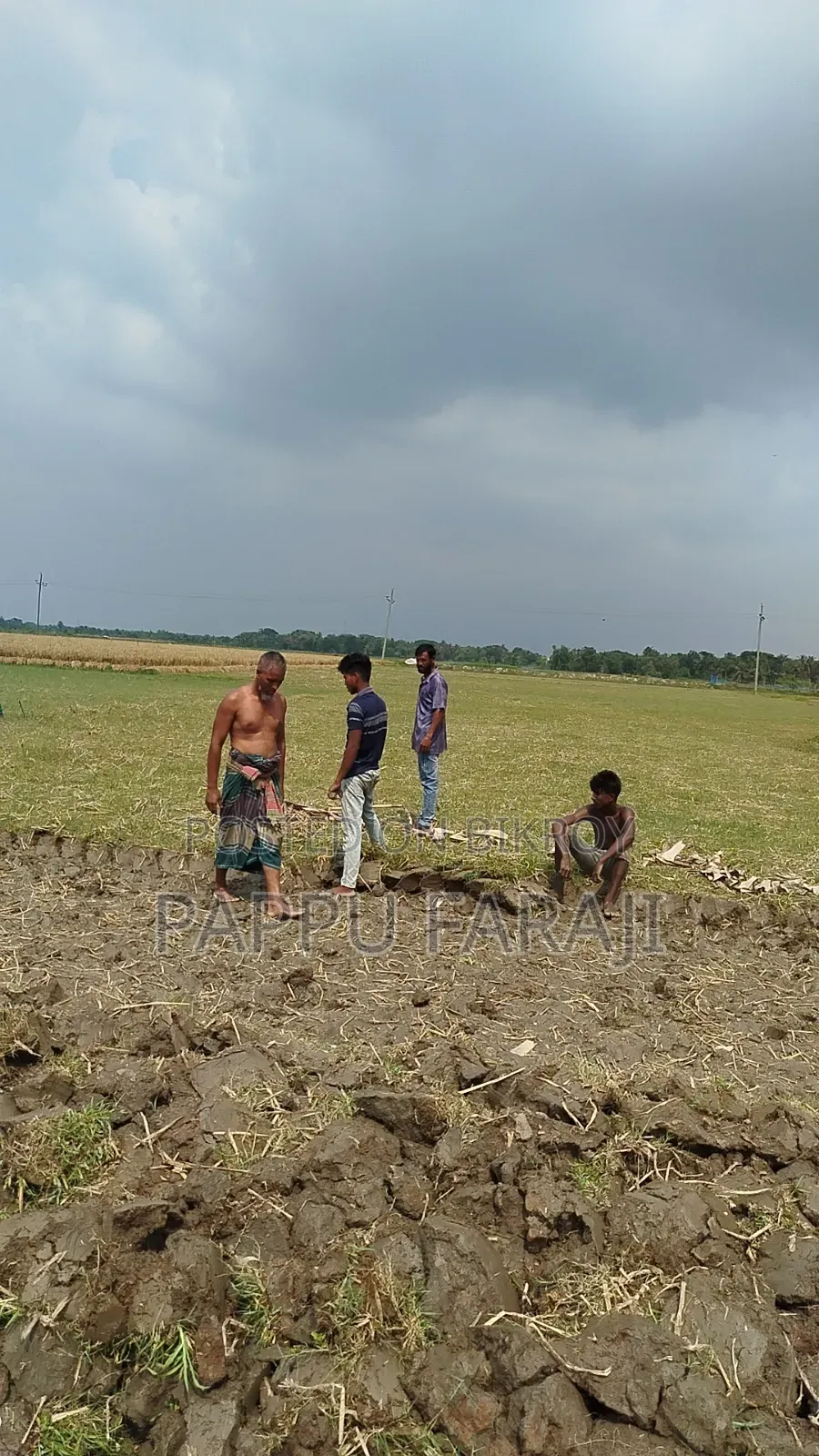 জমি বিক্রি