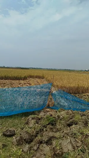 জমি বিক্রি