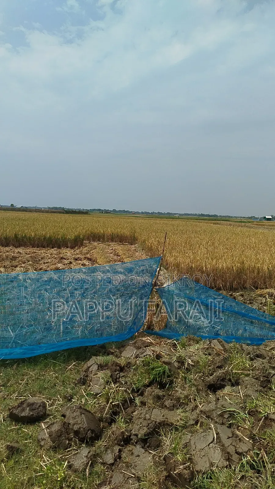 জমি বিক্রি