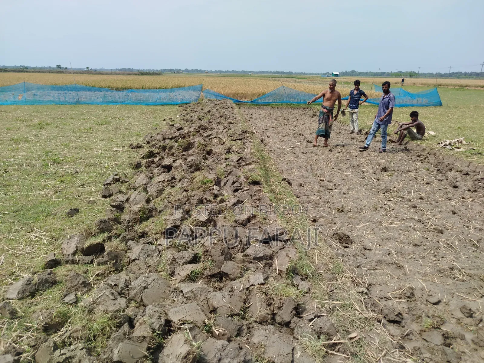 জমি বিক্রি