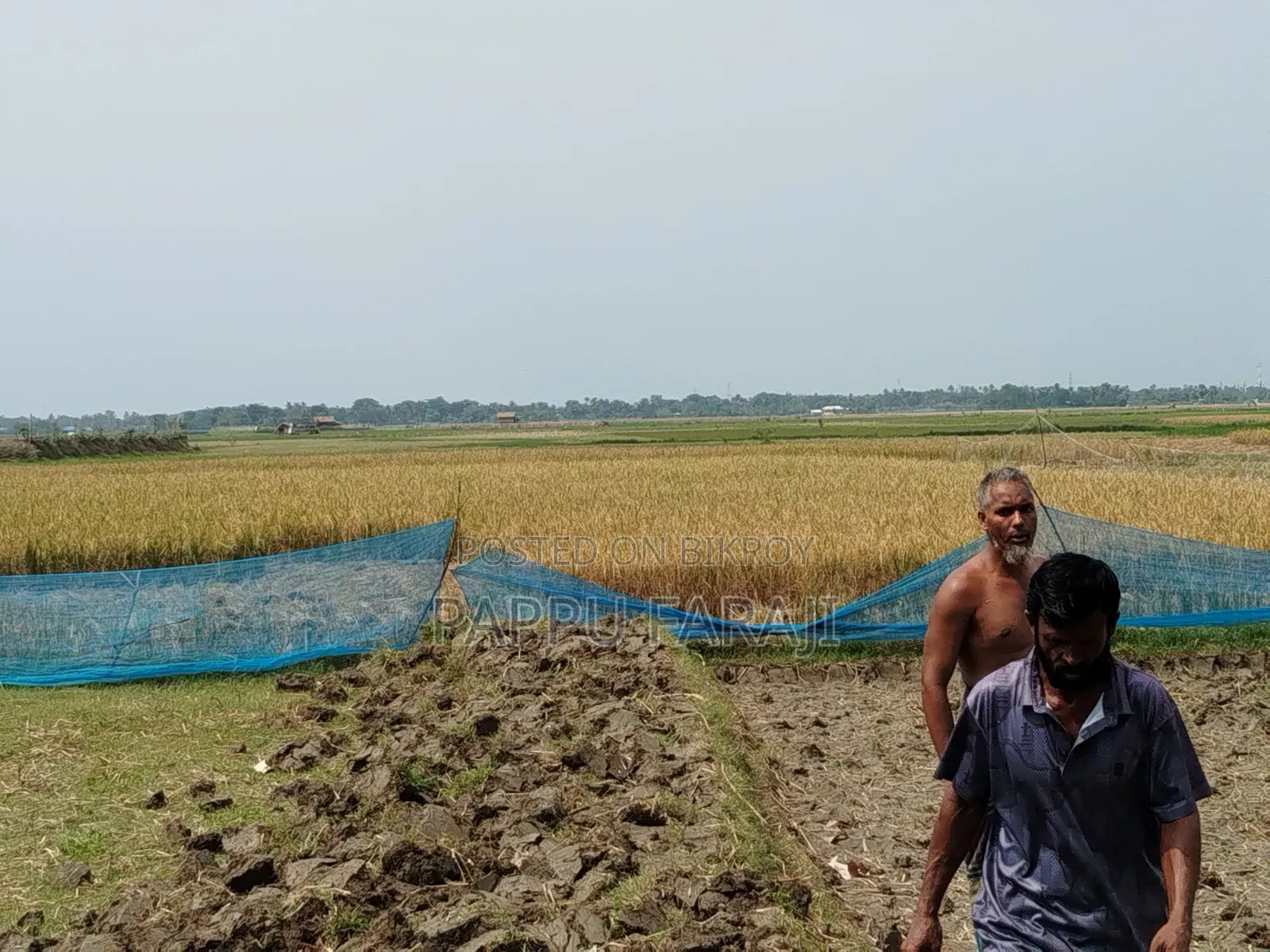 জমি বিক্রি