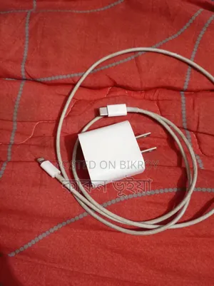 IPhone Charger
