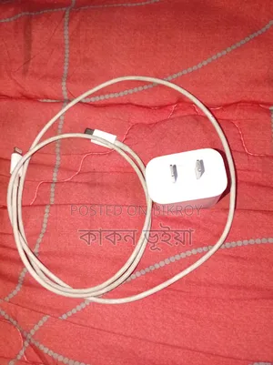 IPhone Charger