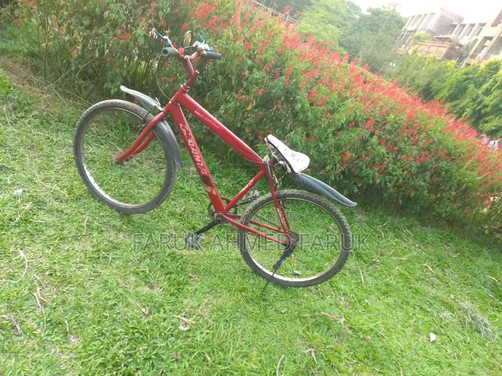 Bicycle Sale