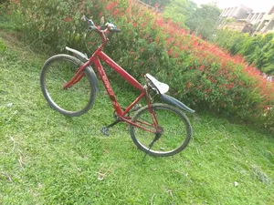 Bicycle Sale