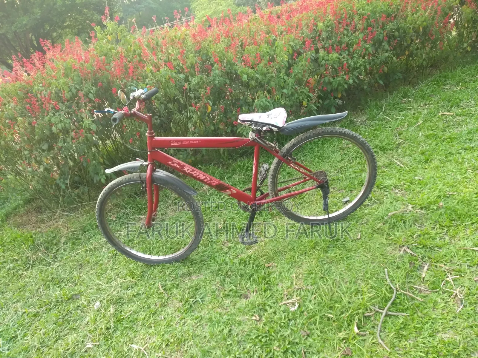 Bicycle Sale