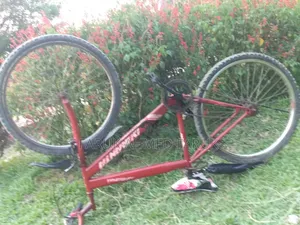 Bicycle Sale