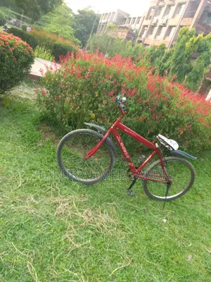 Bicycle Sale
