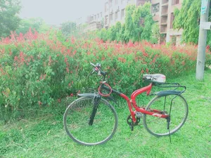 বাইসাইকেল বিক্রয় হইবে।