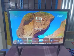 Starex 19" Monitor