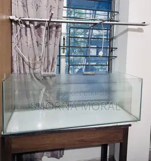 একুরিয়াম (সাথে টেবিল এবং লাইট থাকবে)
