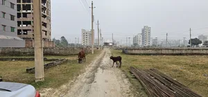 Plot for sale in Dhaka Uttara