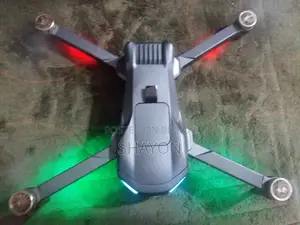 Max GPS Drone
