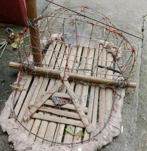 পাখির খাচা