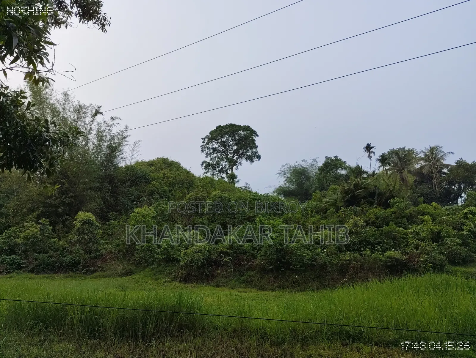 আকর্ষণীয় টিলা জমি বিক্রয় হবে