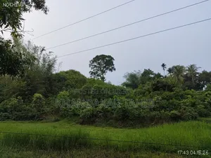 আকর্ষণীয় টিলা জমি বিক্রয় হবে