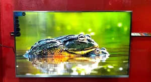 Mi-43" Inche Android Gaming Tv