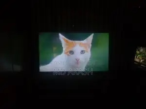 Sharp 60" Gorilla Display LCD 60SU475A