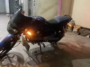 Bajaj Pulsar 150 2013 Blue