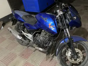 Bajaj Pulsar 150 2013 Blue