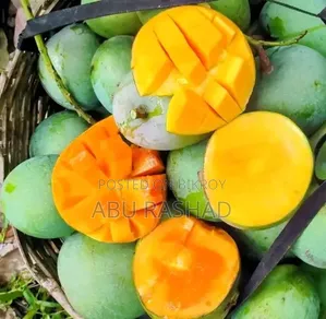 সাতক্ষীরার বিখ্যাত গোপালভোগ, গোবিন্দভোগ আম