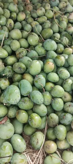 Satkhira's Famous Gopalbhog and Gobindobhog Mangoes
