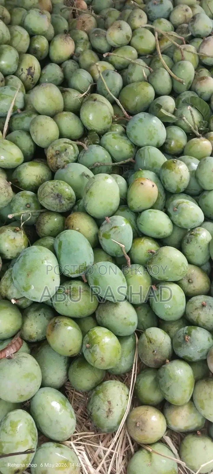 Satkhira's Famous Gopalbhog and Gobindobhog Mangoes
