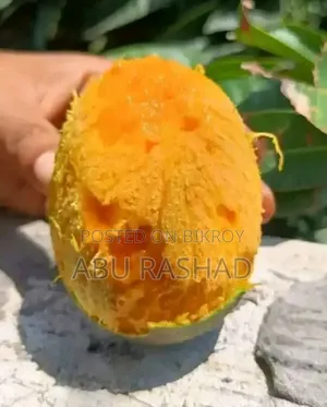 Satkhira's Famous Gopalbhog and Gobindobhog Mangoes