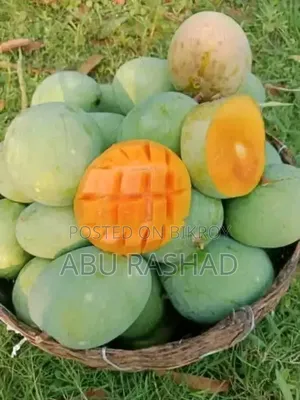Satkhira's Famous Gopalbhog and Gobindobhog Mangoes