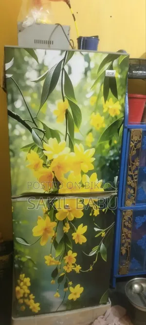 12 Sefty ফ্রিজ