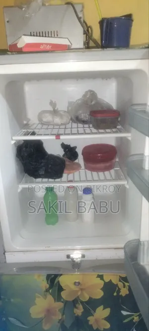 12 Sefty ফ্রিজ