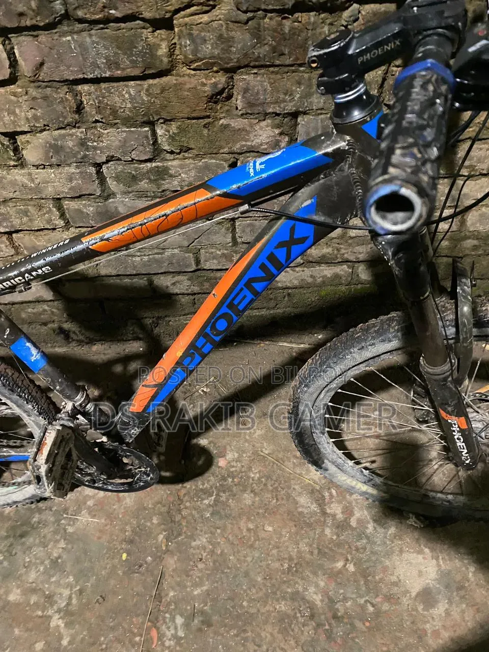 Phoenix Cycle