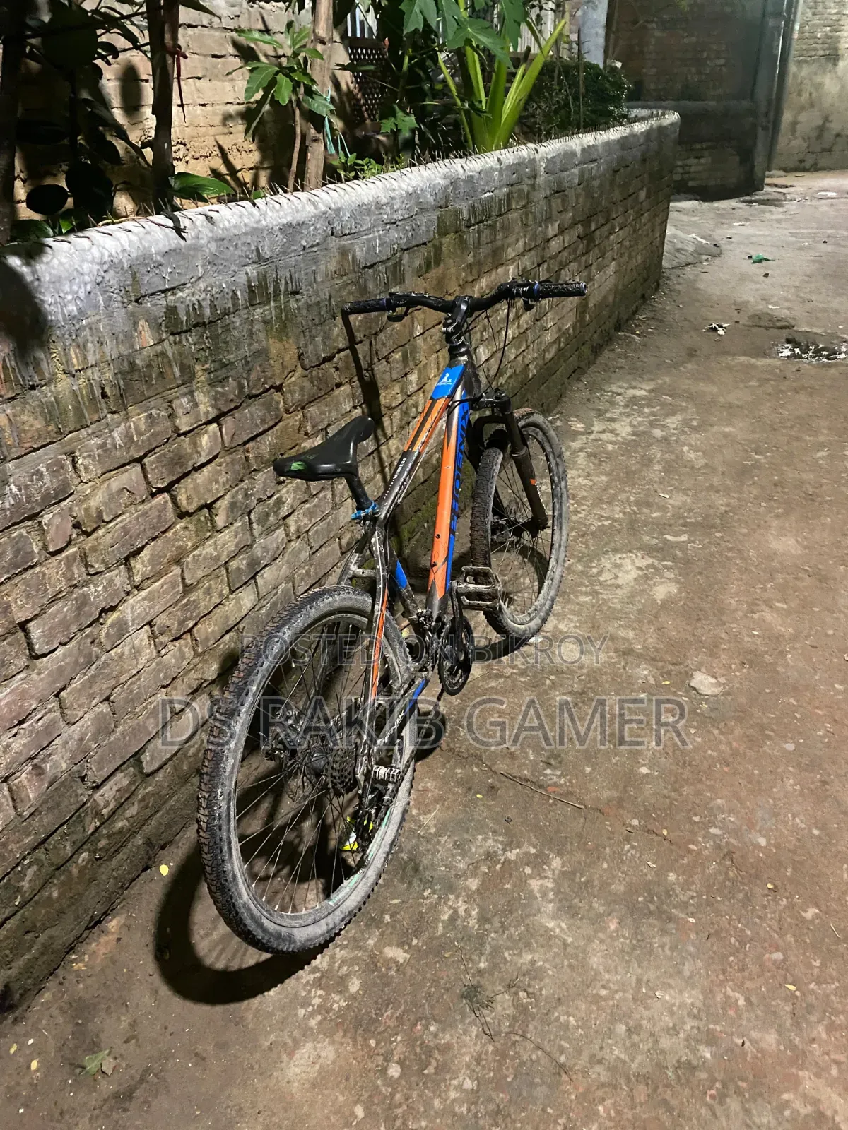 Phoenix Cycle