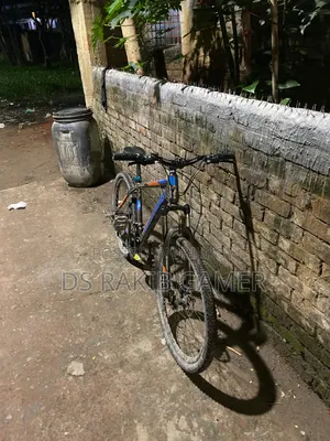 Phoenix Cycle