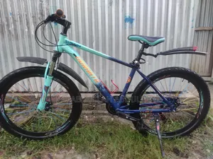 Duronto Bicycle