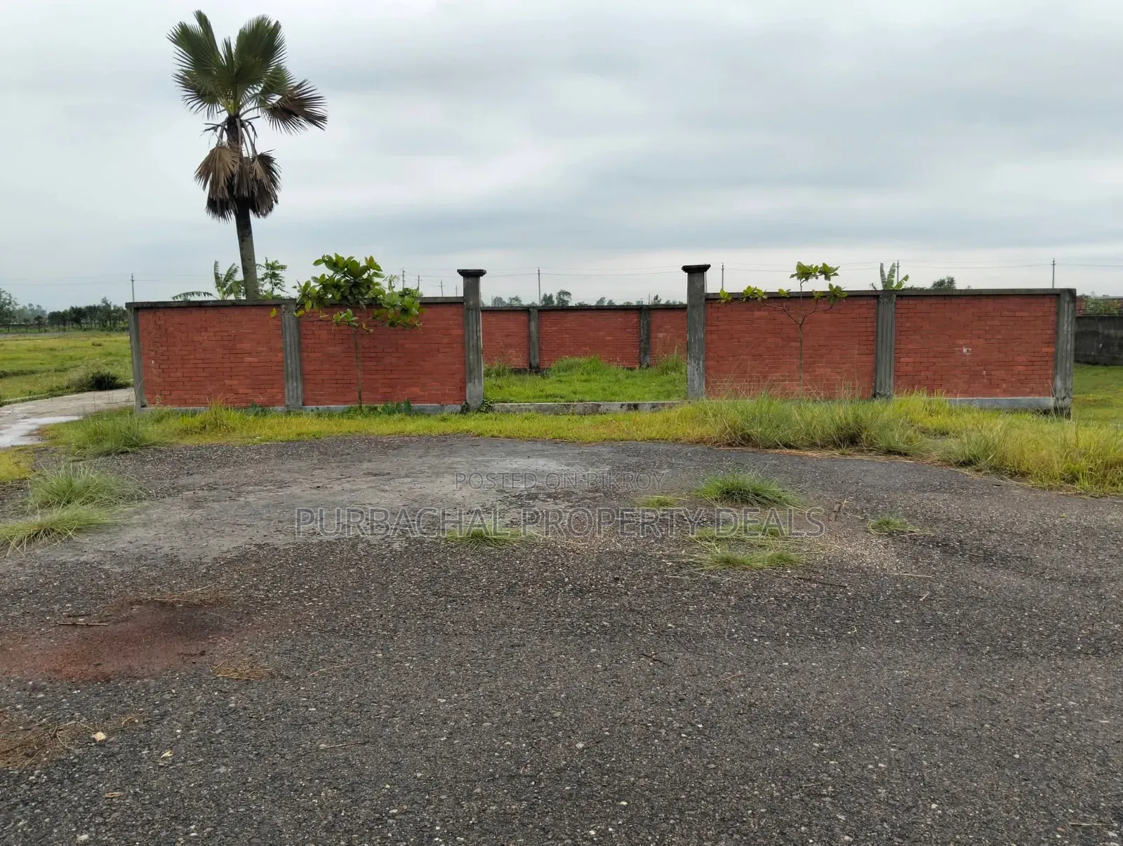 Ready 5 Katha Plot for Sale at Lake View Facing, Sector 22, Purbachal