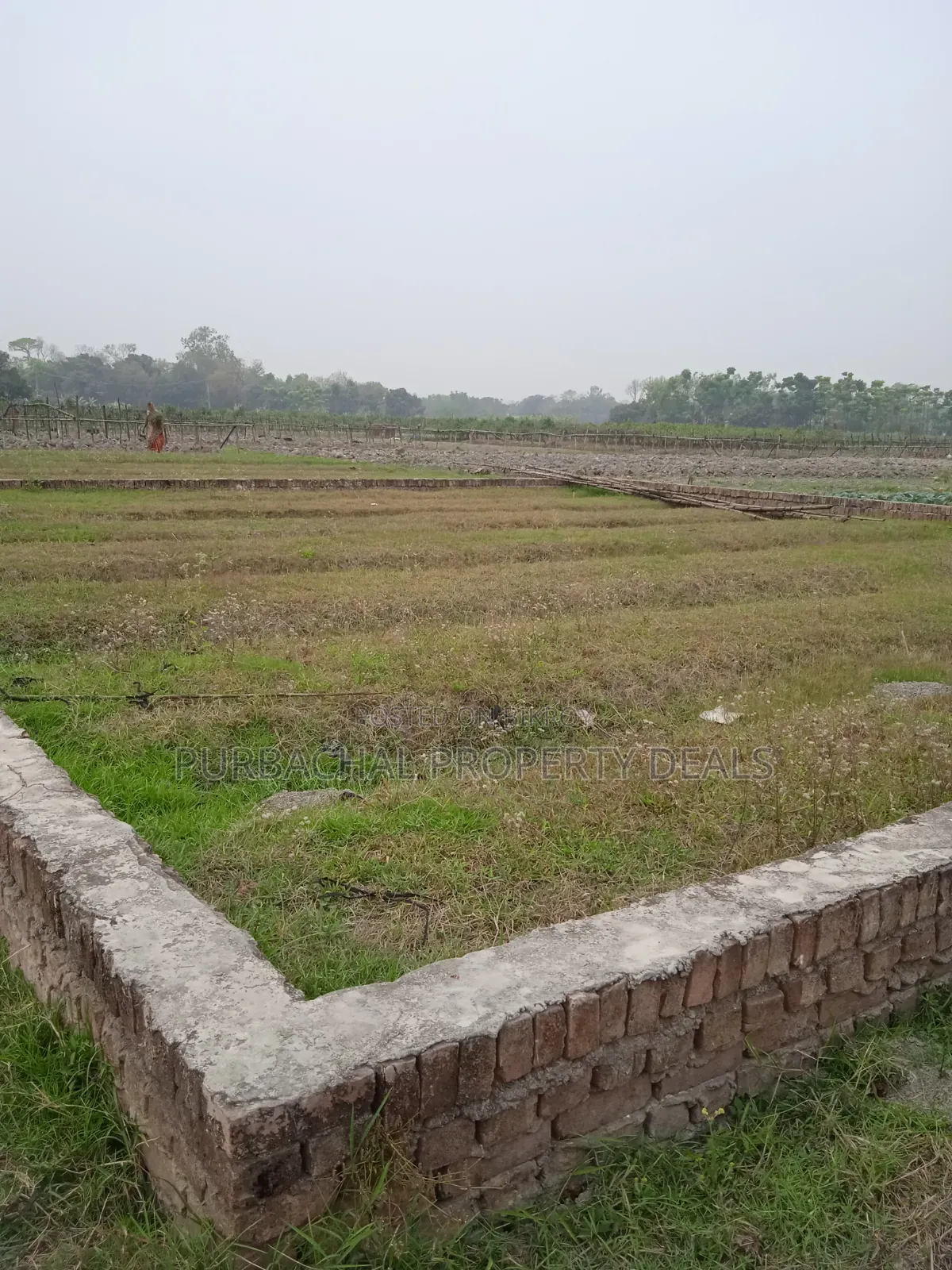 Ready 5 Katha Plot for Sale at Lake View Facing, Sector 22, Purbachal