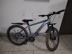 Phoenix Trooper MTB