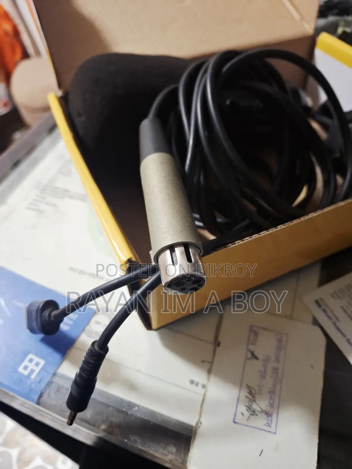 Microphone (Condenser)