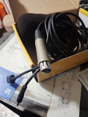 Microphone (Condenser)