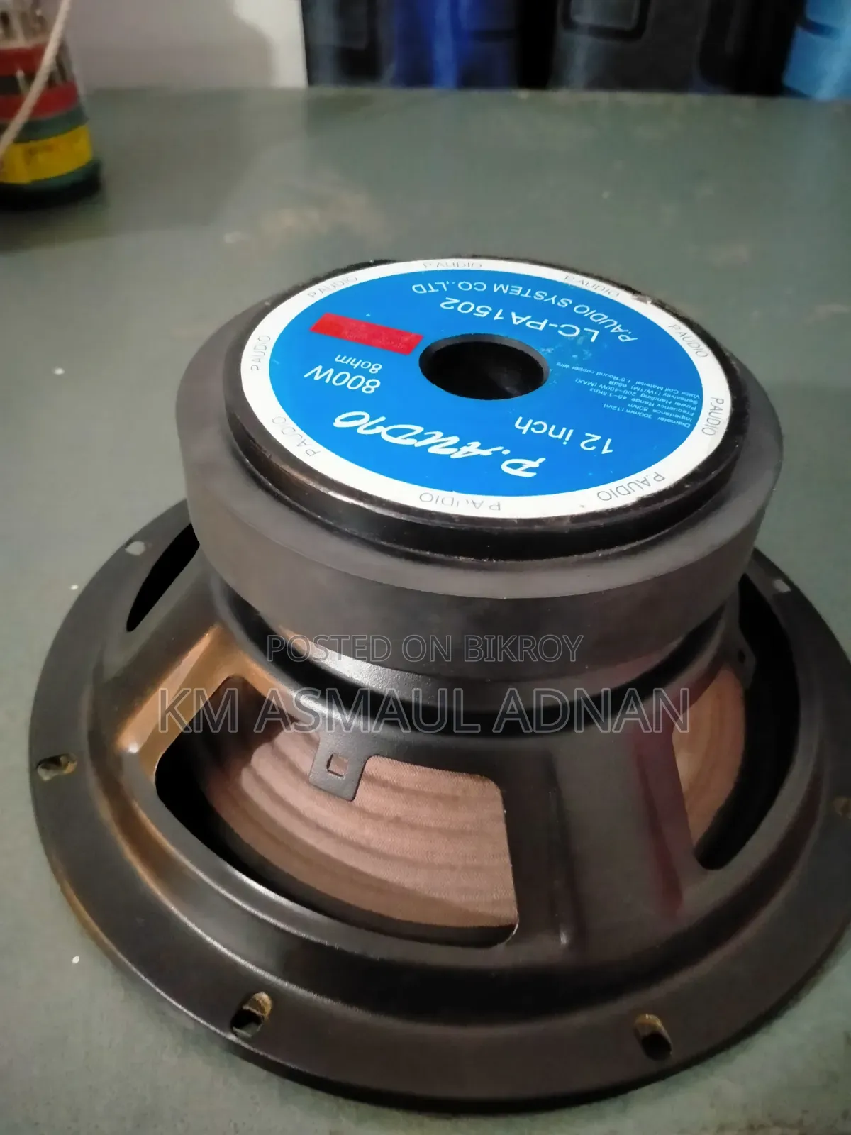 Speaker P-Audio 8" Inch, 5" Inch Magnet.