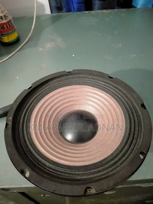 Speaker P-Audio 8" Inch, 5" Inch Magnet.