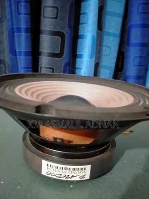 Speaker P-Audio 8" Inch, 5" Inch Magnet.