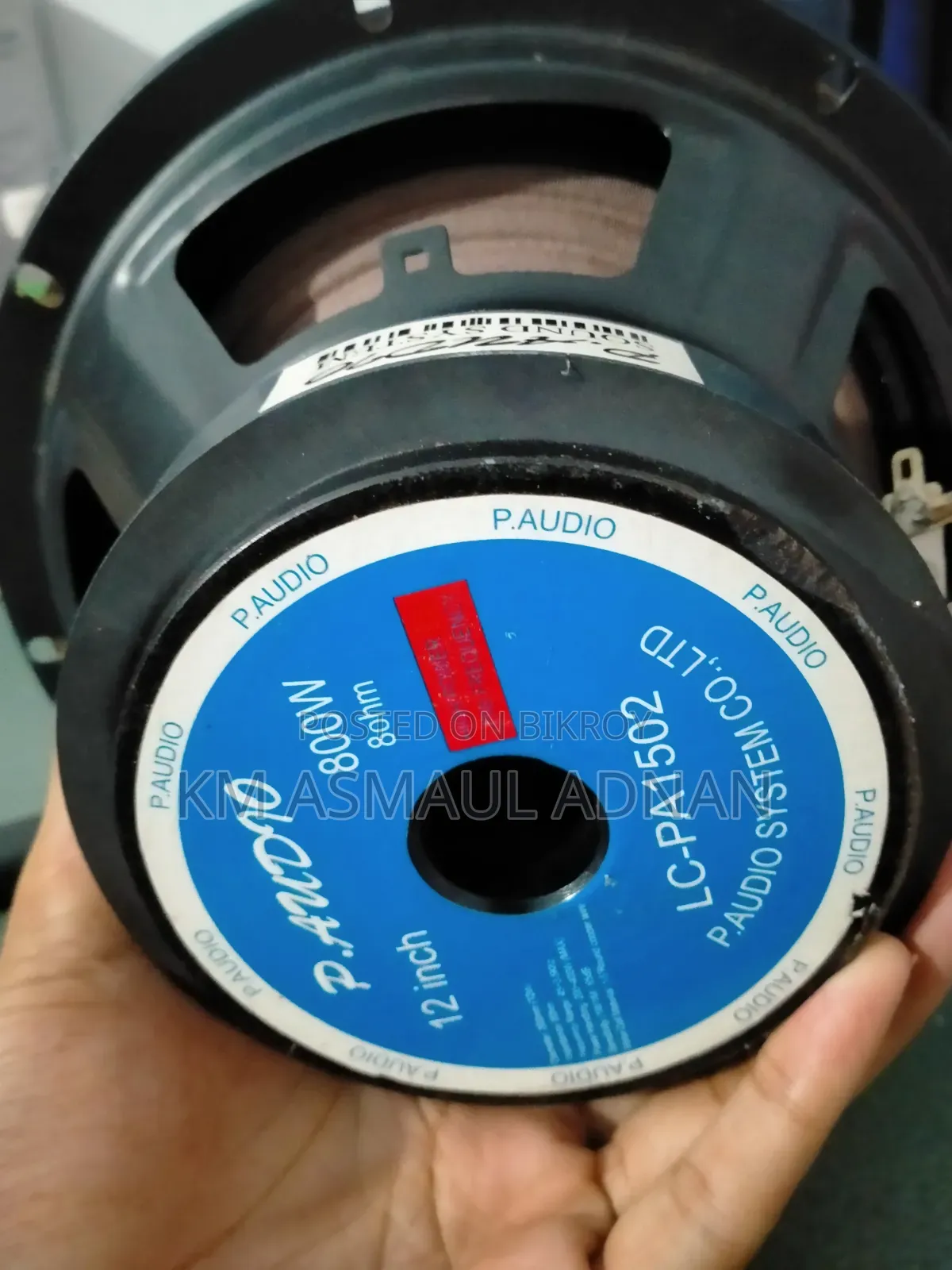 Speaker P-Audio 8" Inch, 5" Inch Magnet.