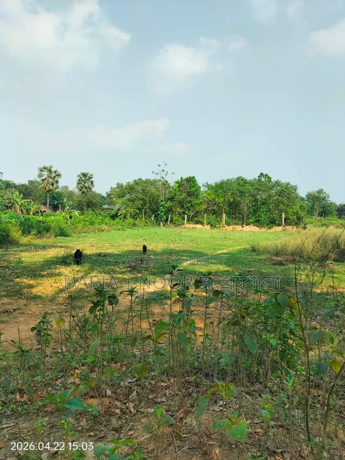 1.38 Lac Taka Per Decimal at Maona, Gazipur