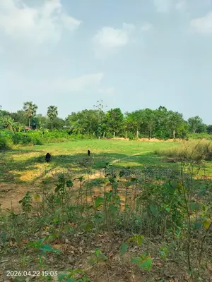 1.38 Lac Taka Per Decimal at Maona, Gazipur