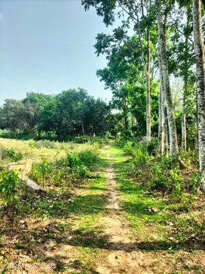 1.38 Lac Taka Per Decimal at Maona, Gazipur