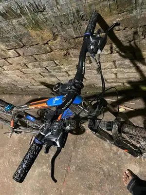 Phoenix Cycle