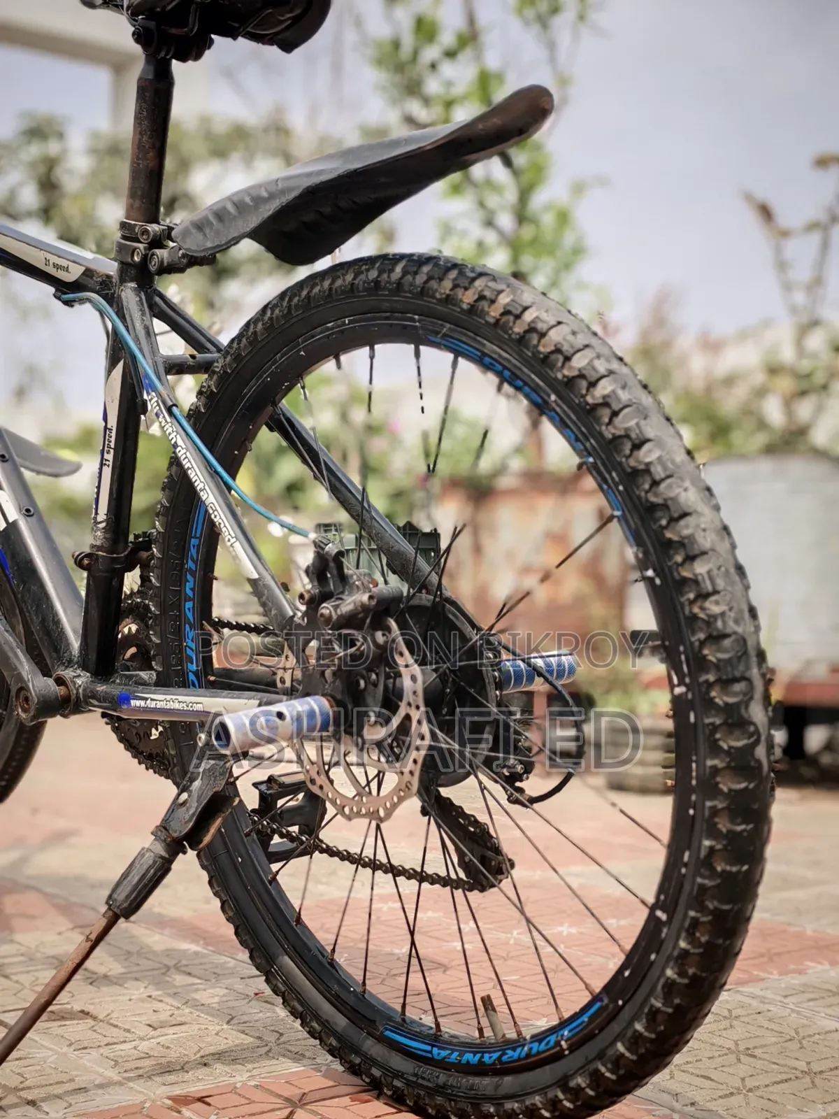Gear Cycle